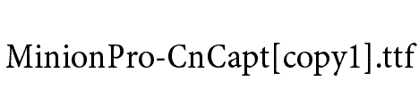 MinionPro-CnCapt[copy1]